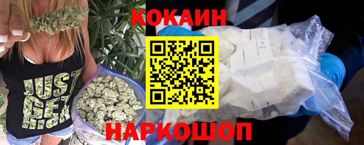 магазин продажи наркотиков  Вход с VPN  Гурьевск  COCAIN Эквадор  COCAIN Fish Scale 