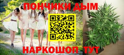 дурь Можга
